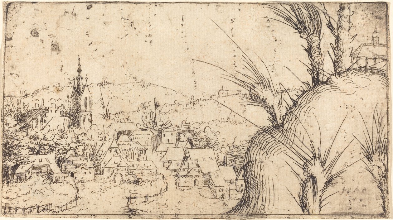 Landscape with a Town at Left by Augustin Hirschvogel