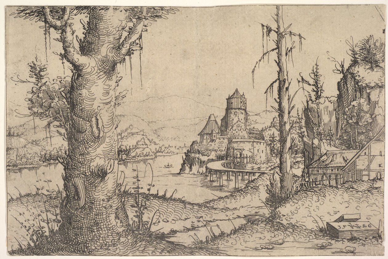 River Landscape with Large Tree by Augustin Hirschvogel