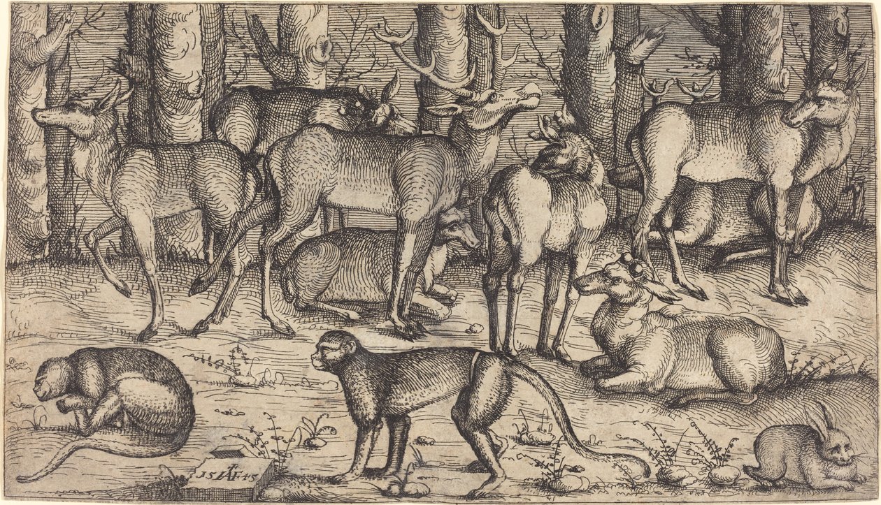 Stags in the Forest by Augustin Hirschvogel