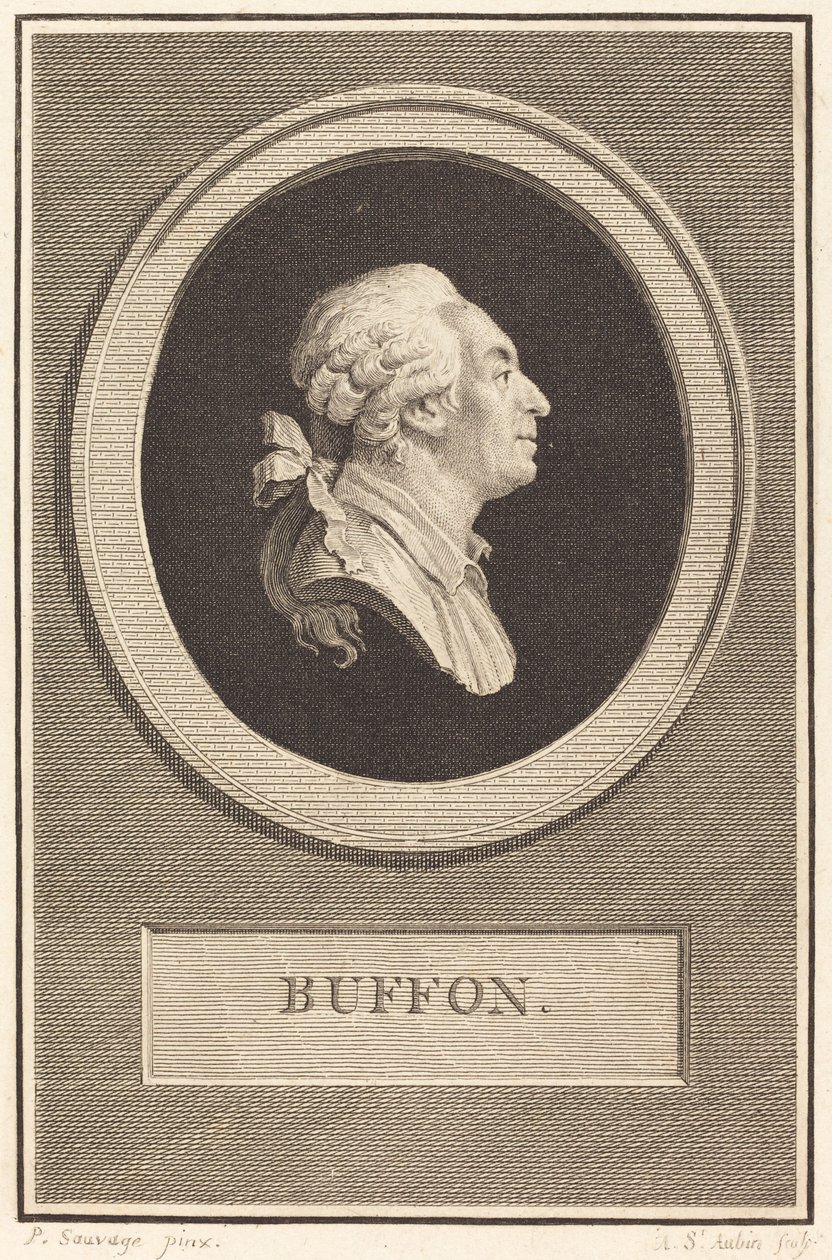 Buffon by Augustin de Saint Aubin after Piat Joseph Sauvage