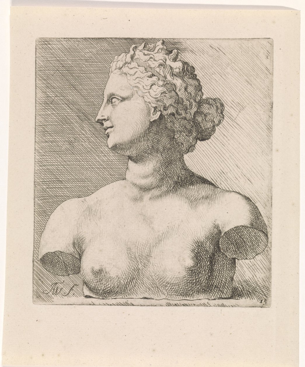 Bust of Venus de