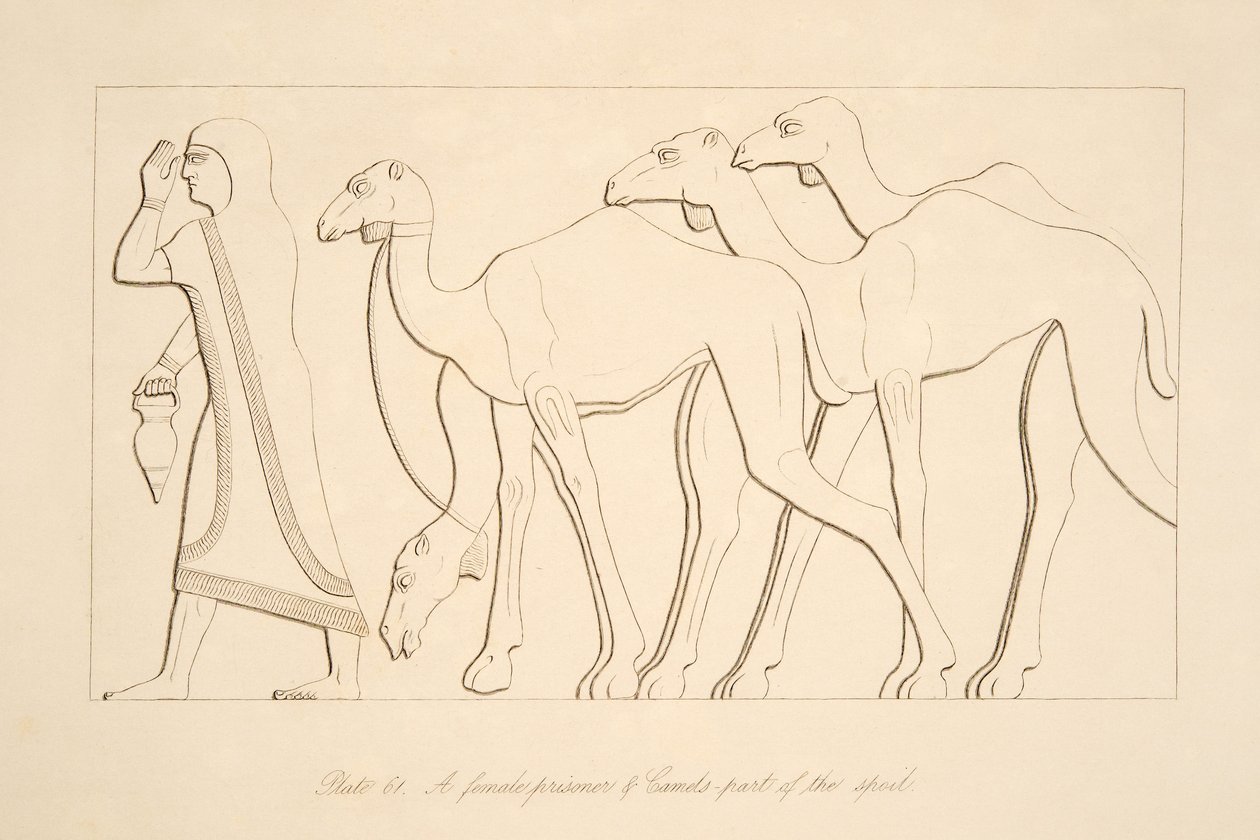 A female prisoner and camel, illustration from Monuments of Nineveh, 1849 by Austen Henry Layard