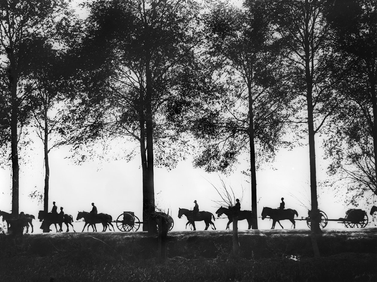 A view of Australian artillery limbers loaded with ammunition proceeding along the Ypres Road, 25 September 1917 by Australian Photographer