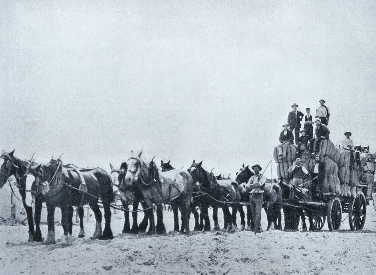 Wool Carrying Team, Western Australia, from 