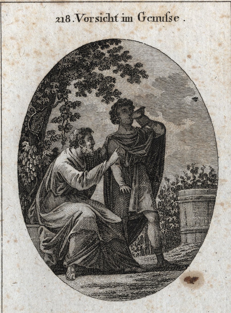 Allegory of Caution While Enjoying by Austrian School