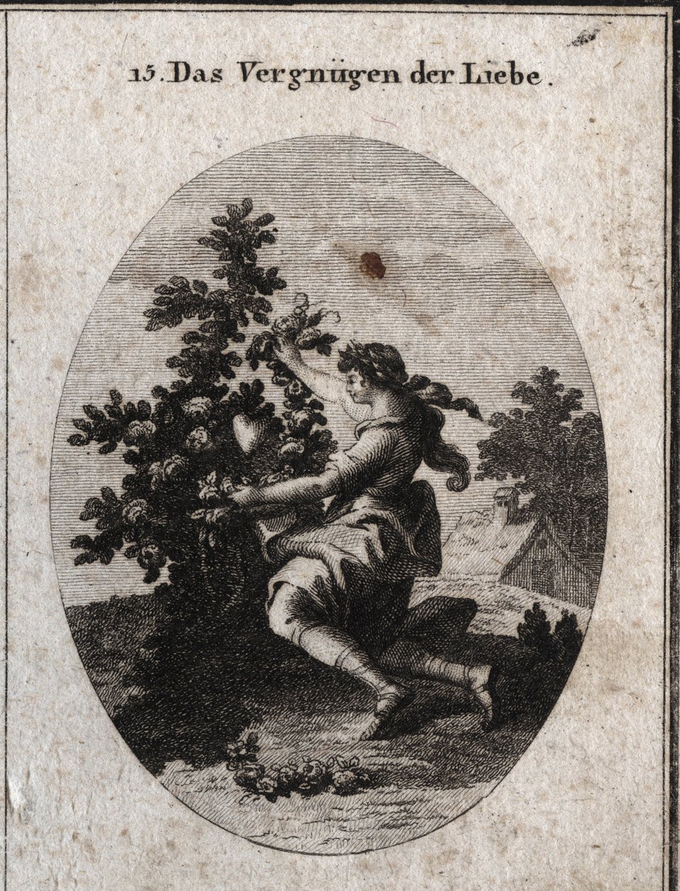 Allegory of love satisfaction represented by a graceful teenager kneeling in front of a heart in the middle of a flowered rose tree whose roses and thorns are allusive to the sorrows and sweets of love. The lover cries to embellish what he loves. by Austrian School