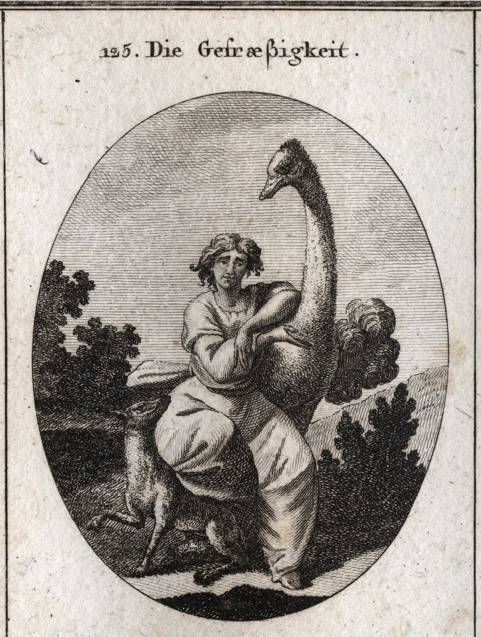 Allegory of Voracity. The Ostrich is the Attribute of Greed; We Add a Lean and Hungry Wolf for Greater Voracity. Engraving in 