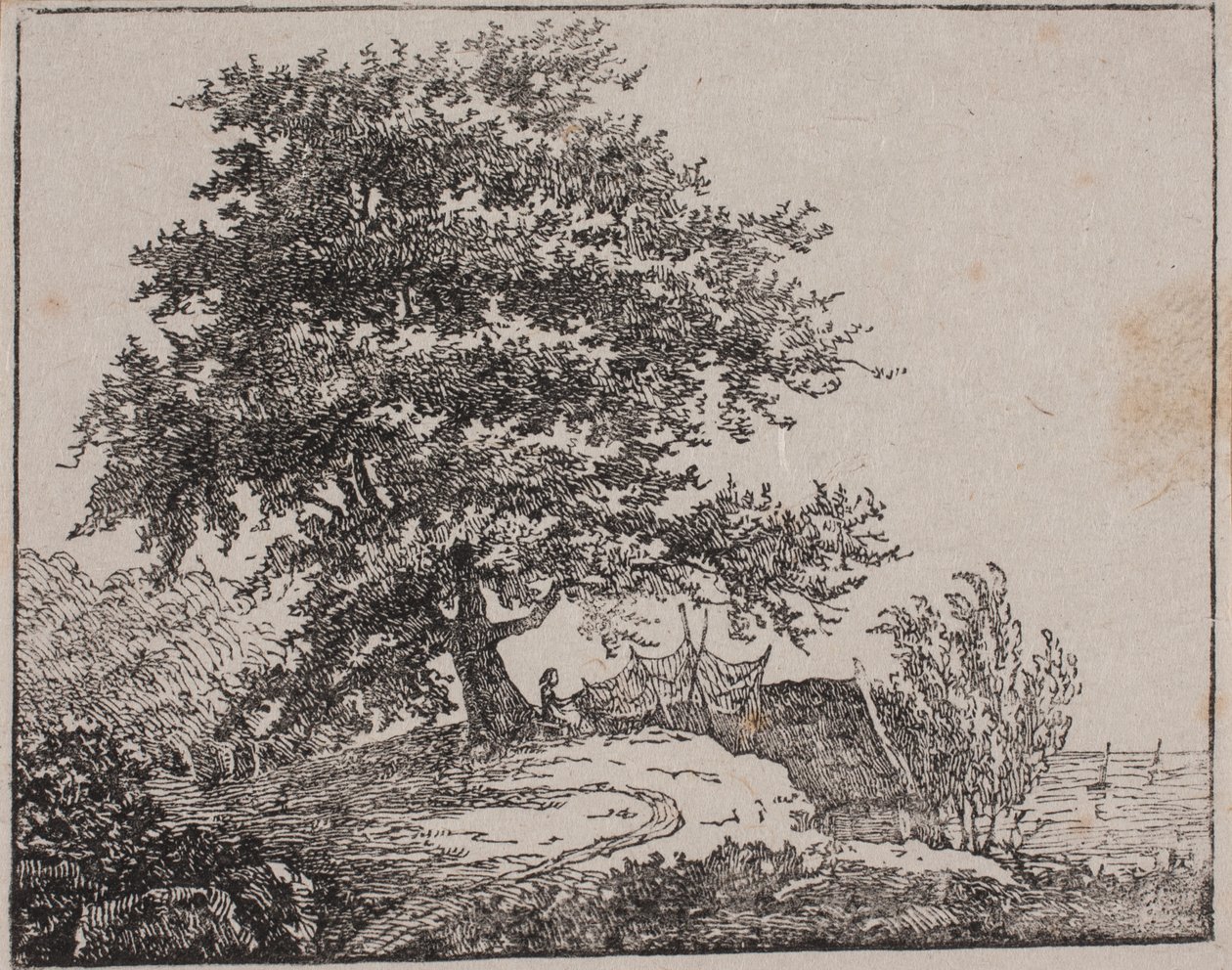 Tree on a Slope by the Sea by Axel Theodor Kittendorff