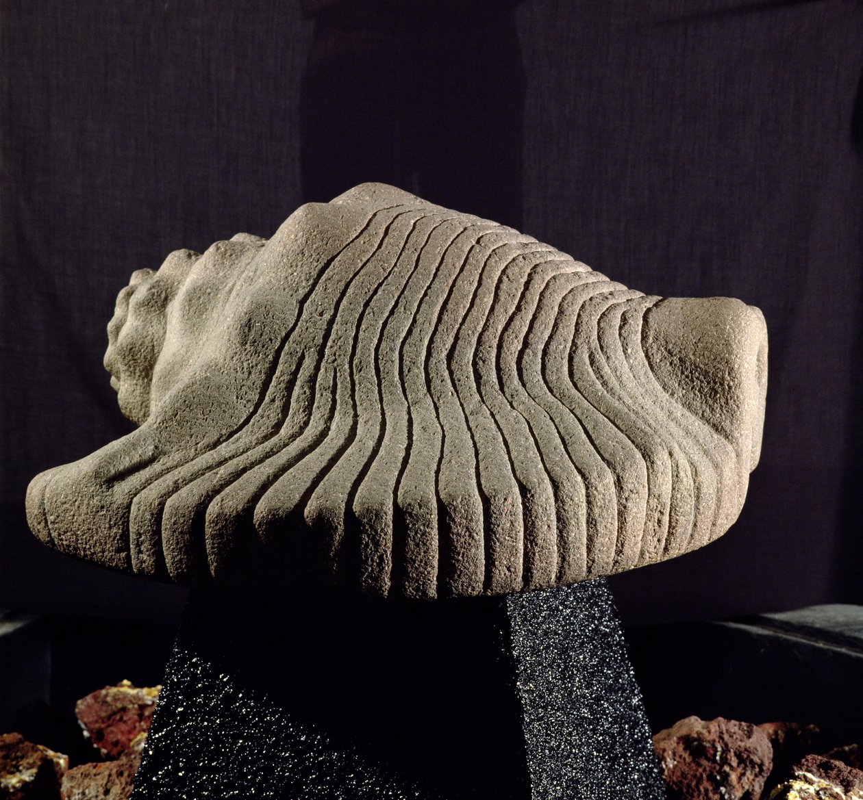 Sea Snail Shell by Aztec: Highest-quality art reproduction