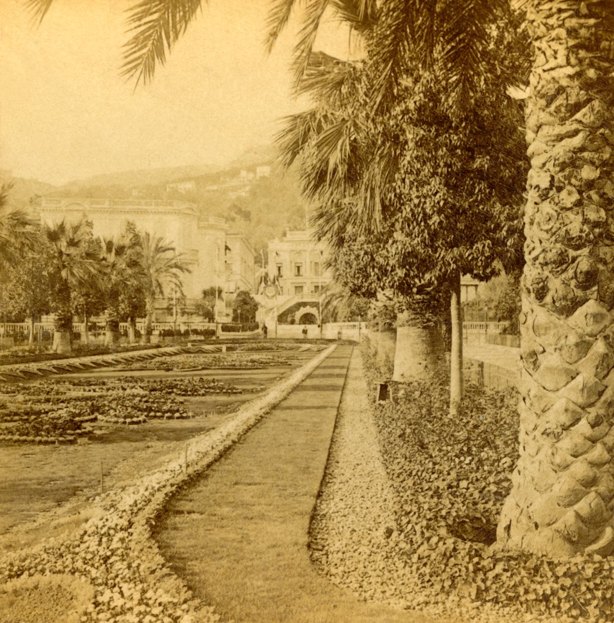 Monte Carlo, looking from the Casino, 1897 by B. W. Kilburn