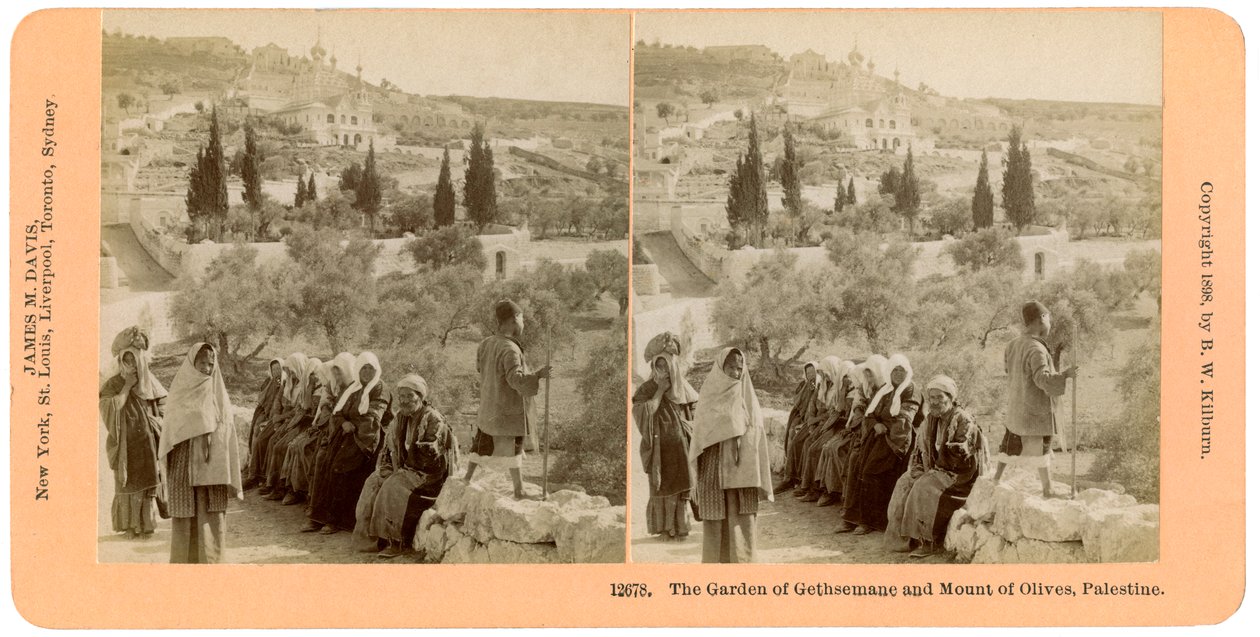The garden of Gethsemane and the Mount of Olives, Palestine, 1898 by B. W. Kilburn