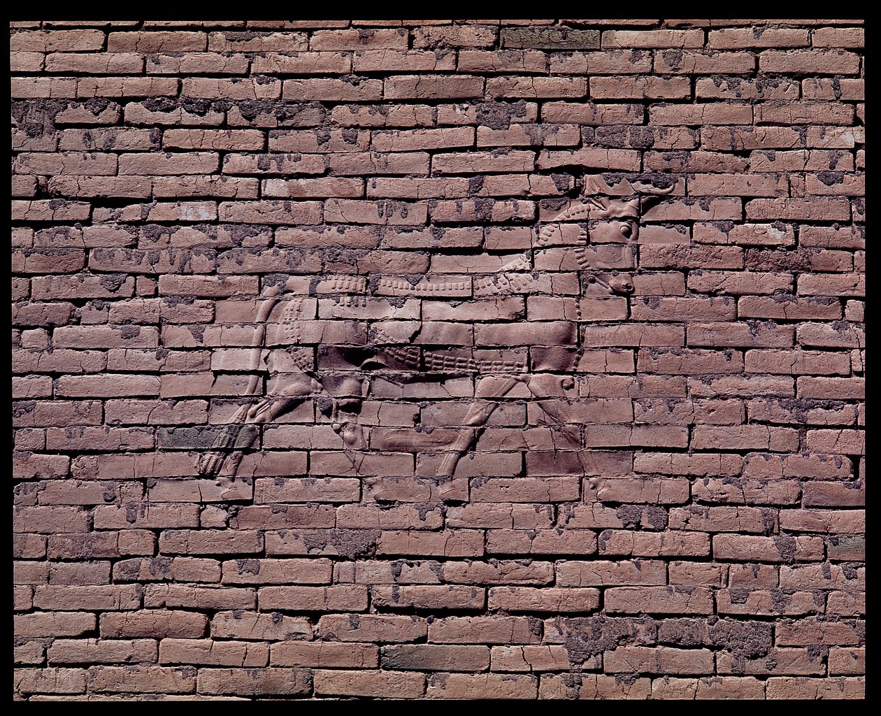 Detail of a bull, relief of the Ishtar gate, 580 BC by Babylonian