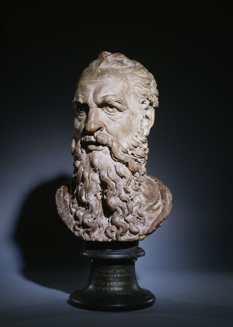 Study of the Head of Saint Paul, c.1535 by Baccio Bandinelli