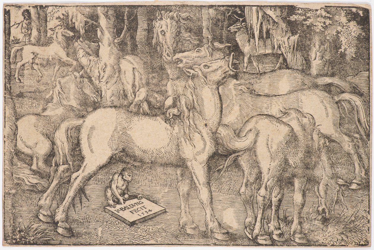 Group of Seven Horses, 1534 by Baldung