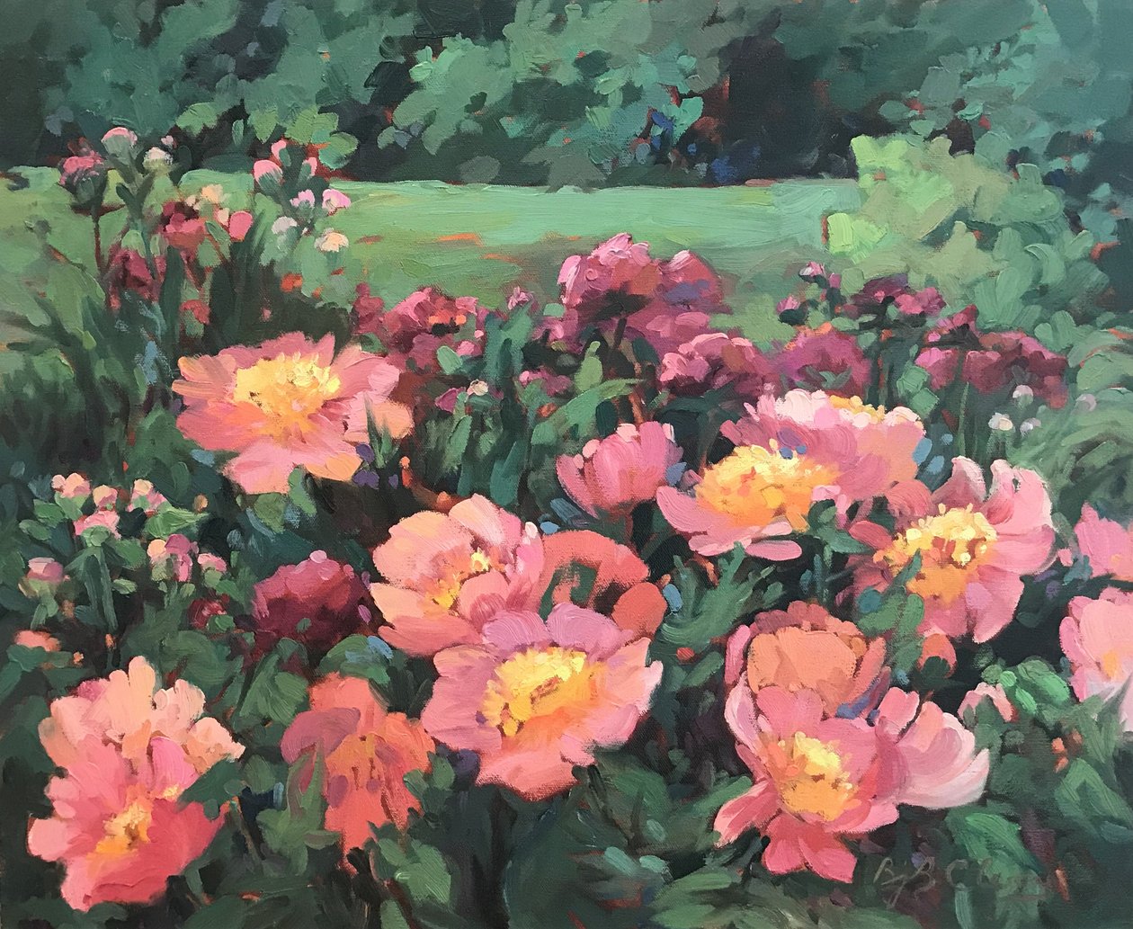 Pink Princess by Barbara Cleary