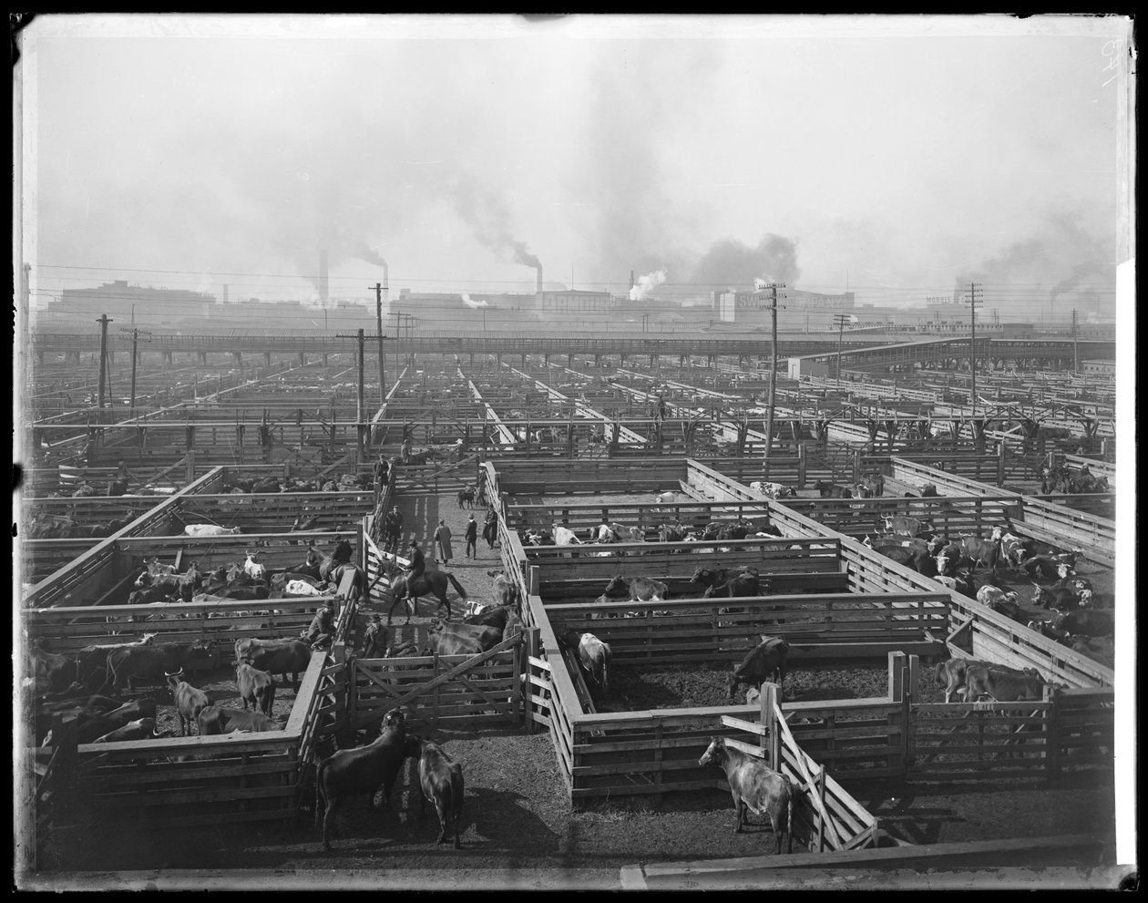Cattle Pens at Union Stock Yards, Chicago, Illinois, USA (c.1900) by Barnes and Crosby