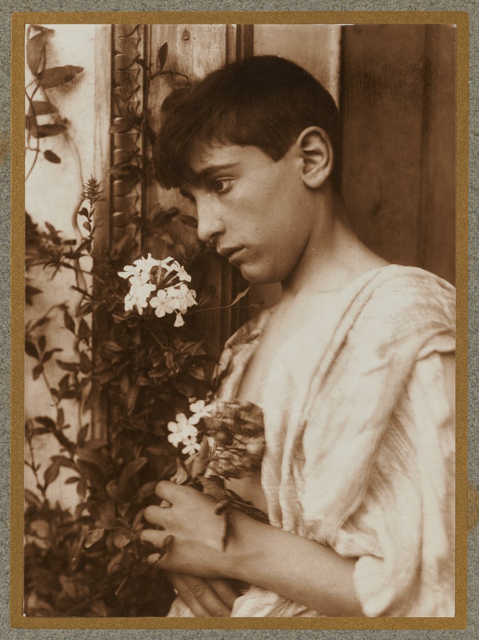Sicilian Boy by Baron Wilhelm von Gloeden