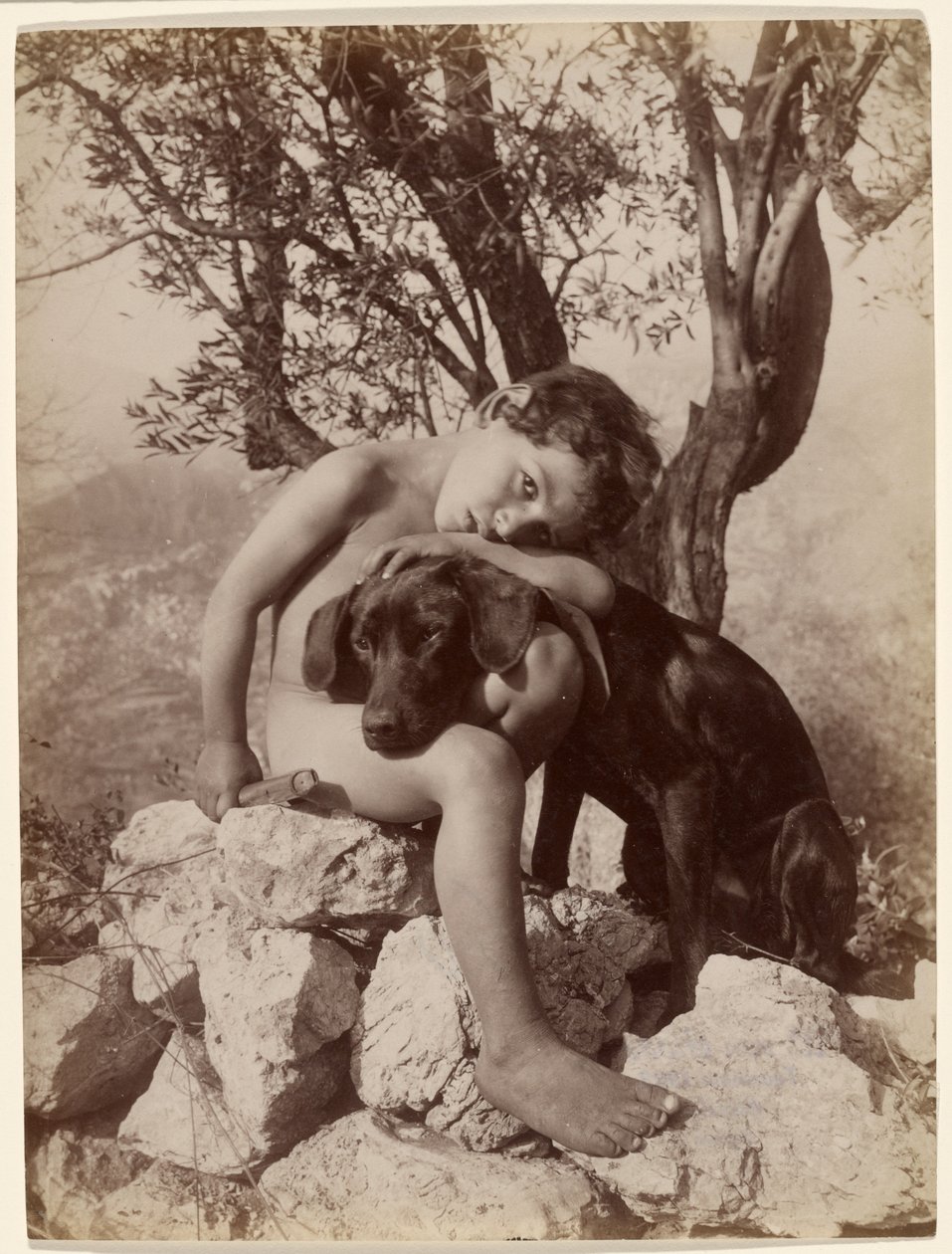 Young Nude Boy and Dog by Baron Wilhelm von Gloeden
