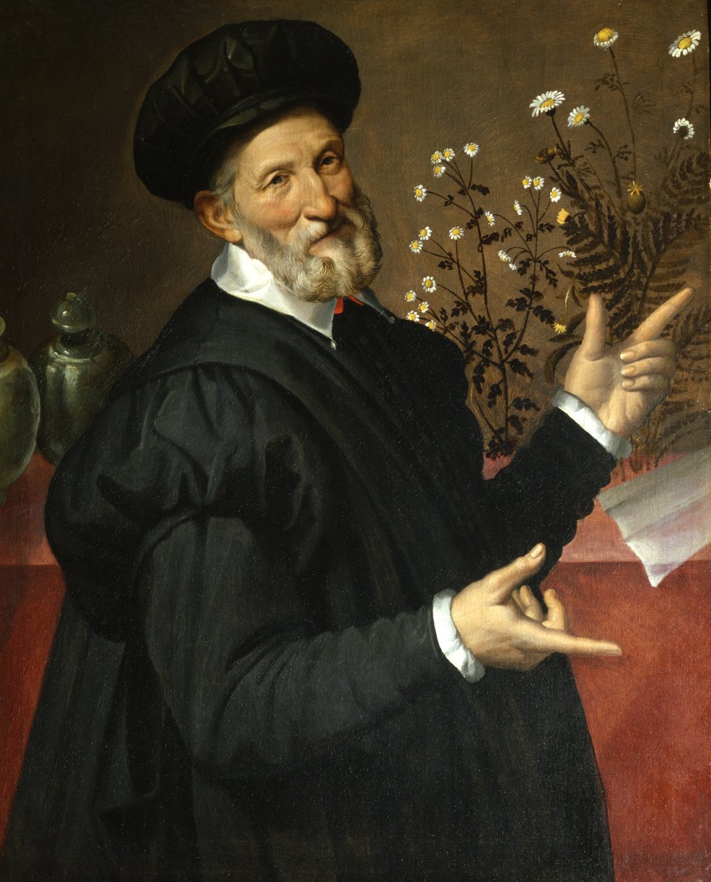 The Botanist, 1570 by Bartolomeo Passarotti