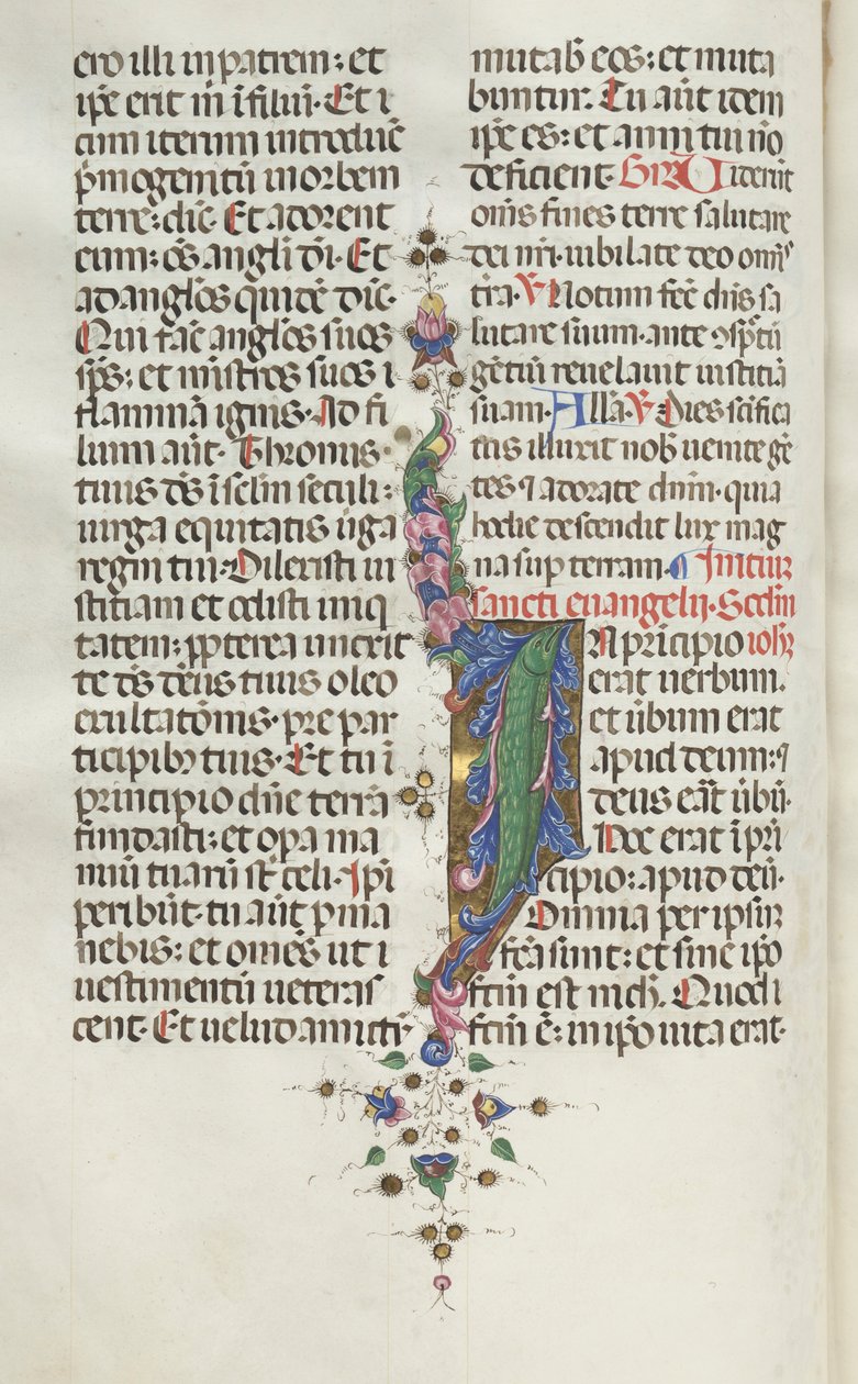 Missale: Fol. 22v: Foliage with Fish by Bartolomeo Caporali