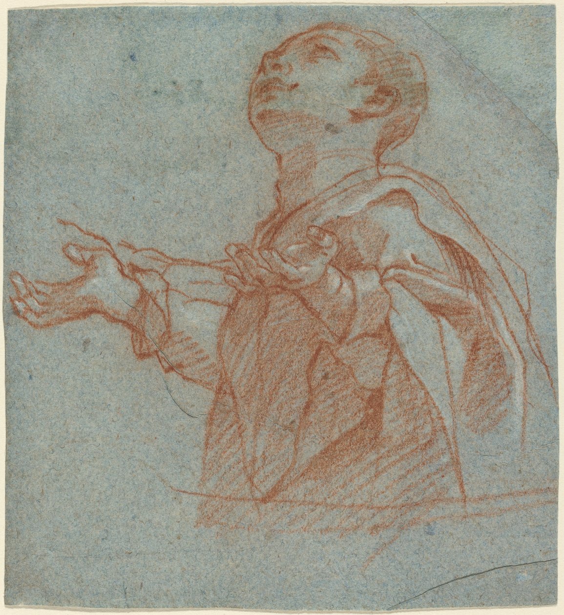 A Boy Gazing Upward in Adoration by Bartolomeo Cesi