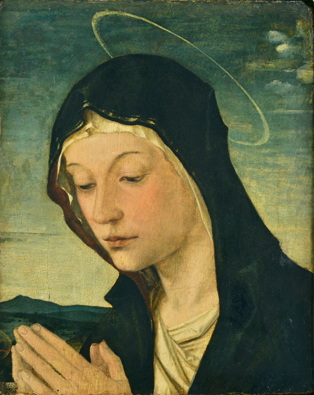 Head and Hands of an Adoring Madonna (Fragment) by Bartolomeo Montagna