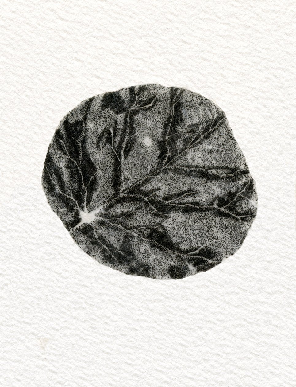 Leaf by Bella Larsson