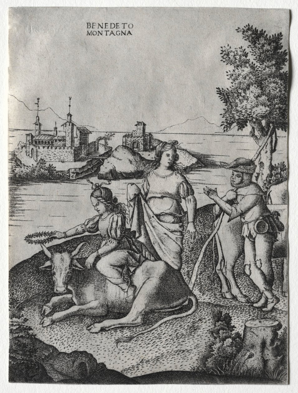 Rape of Europa, c. 1515-1520 by Benedetto Montagna