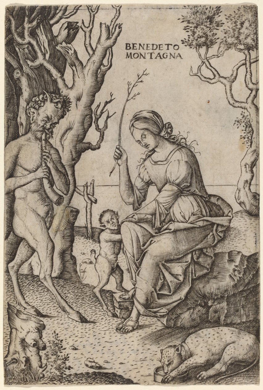 Satyr Family by Benedetto Montagna
