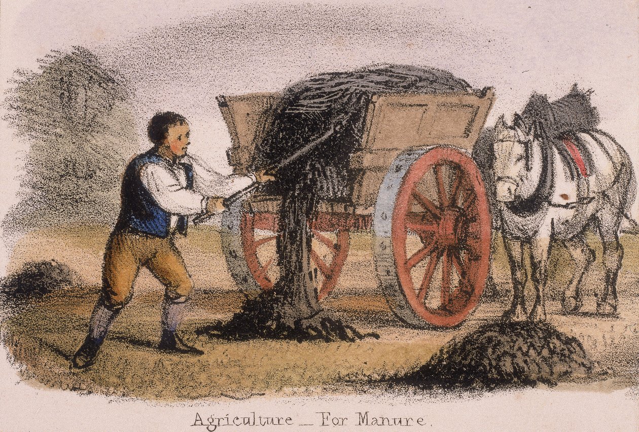Agriculture, for Manure, c1845 by Benjamin Waterhouse Hawkins