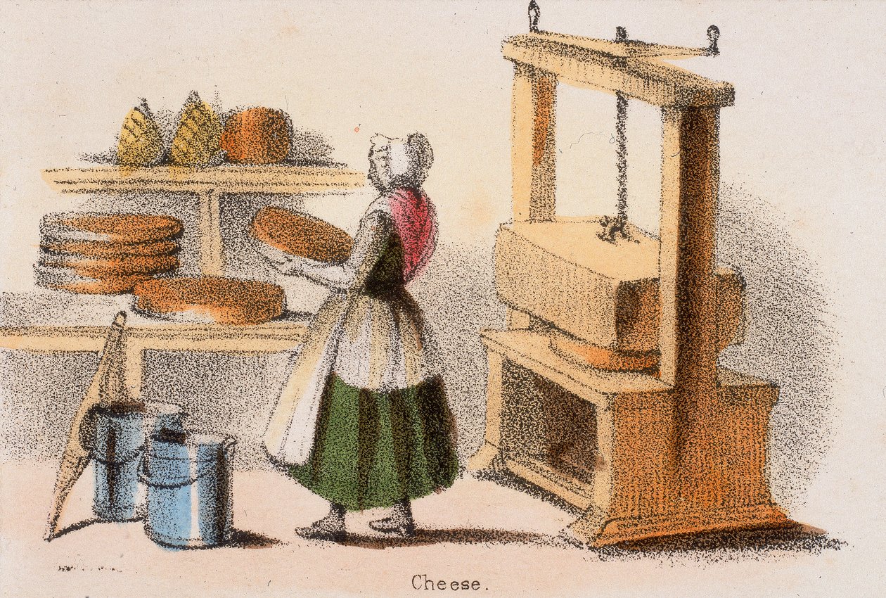 Cheese by Benjamin Waterhouse Hawkins