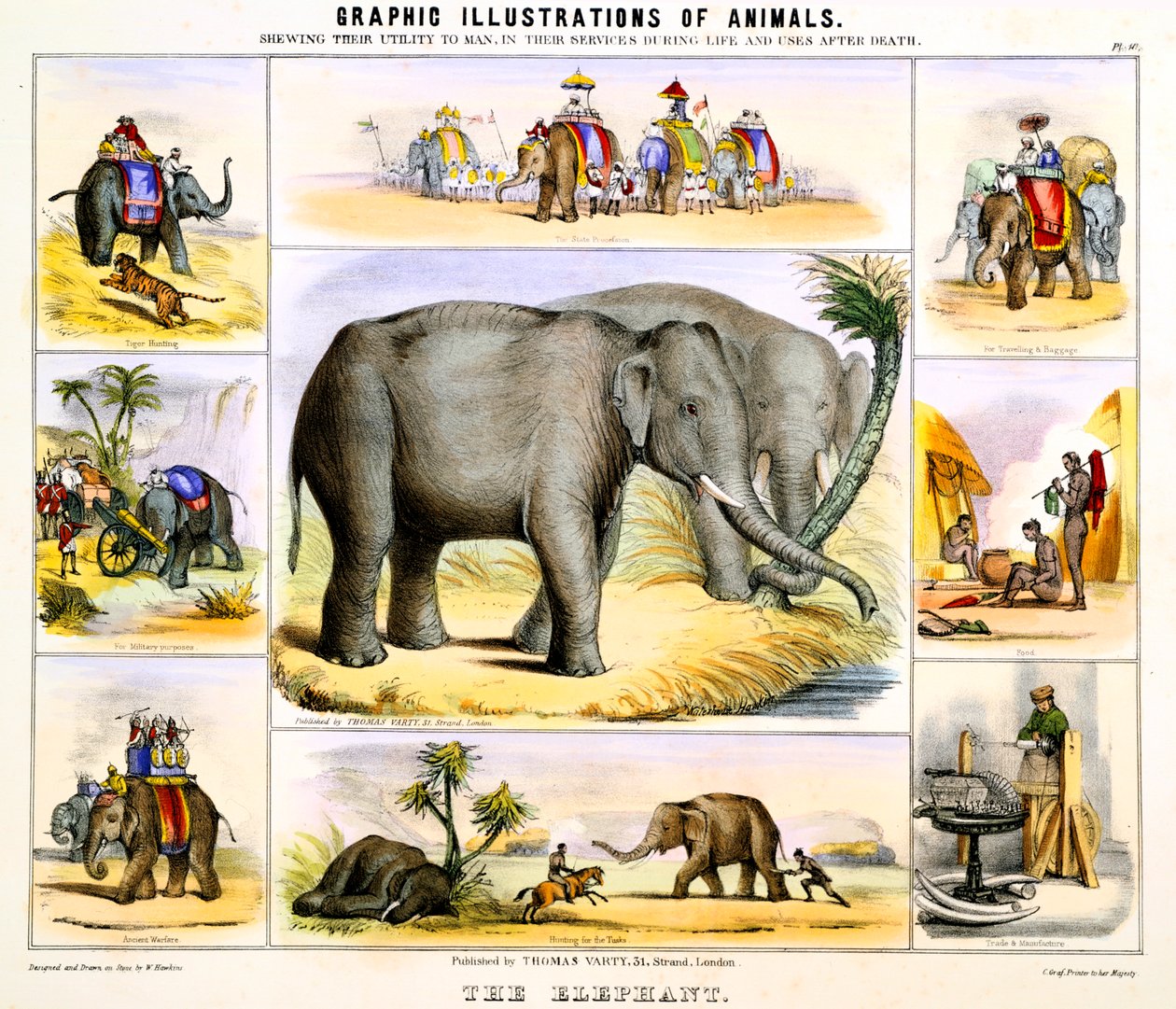 The Elephant, c1850 by Benjamin Waterhouse Hawkins