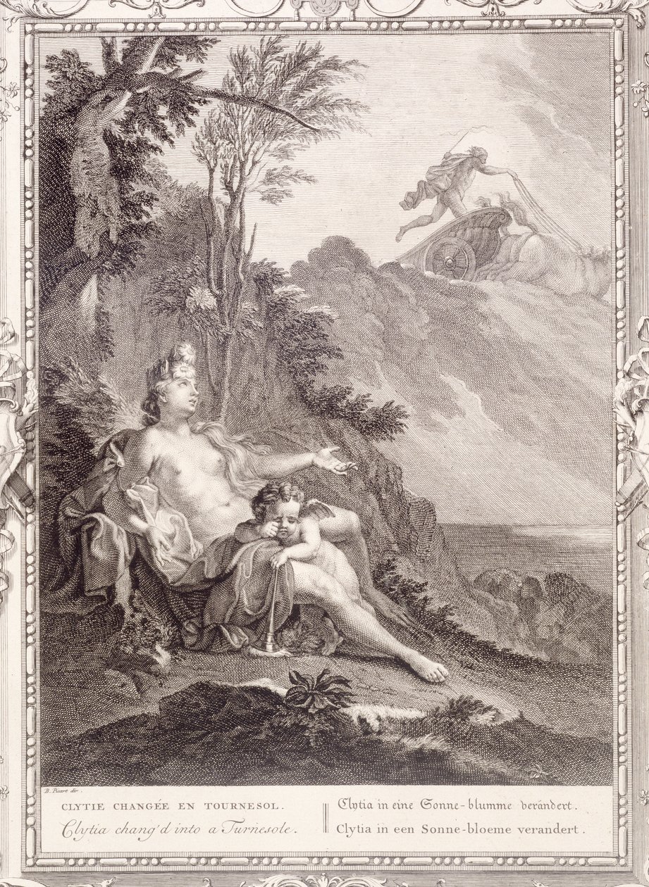 Clytia Turned into a Turnesole, 1731 by Bernard Picart