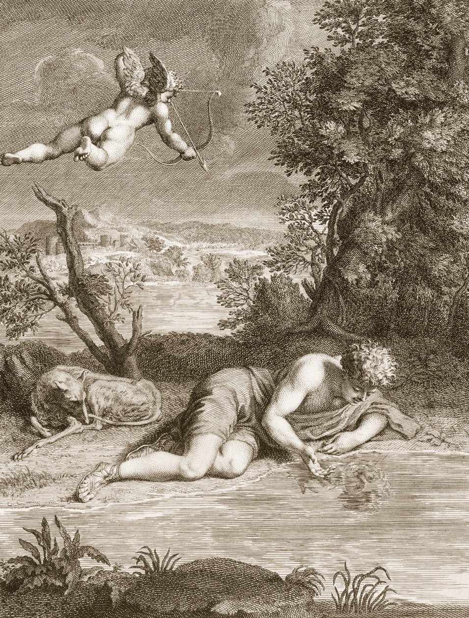 Narcissus Transformed into a Flower, 1730 by Bernard Picart
