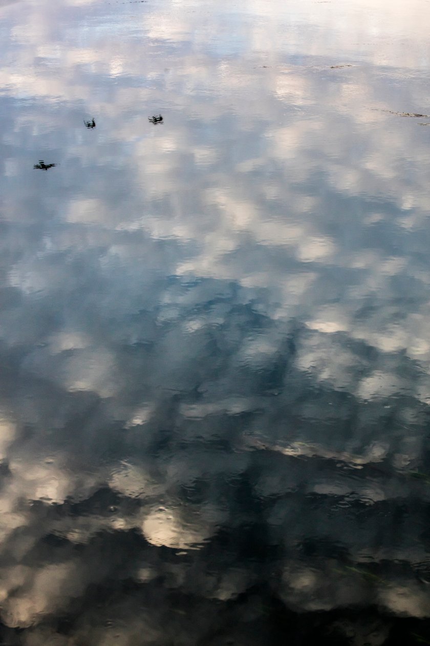 Reflections of Clouds and Birds on the Surface of the Garonne River in Toulouse, Haute-Garonne by Bernard Bonnefon