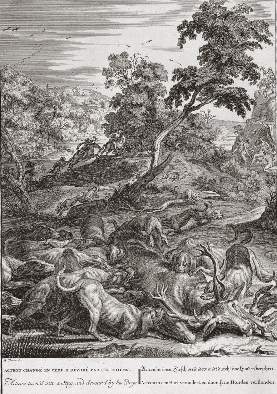 Acteon turned into a Stag, and devoured by his dogs by Bernard Picart