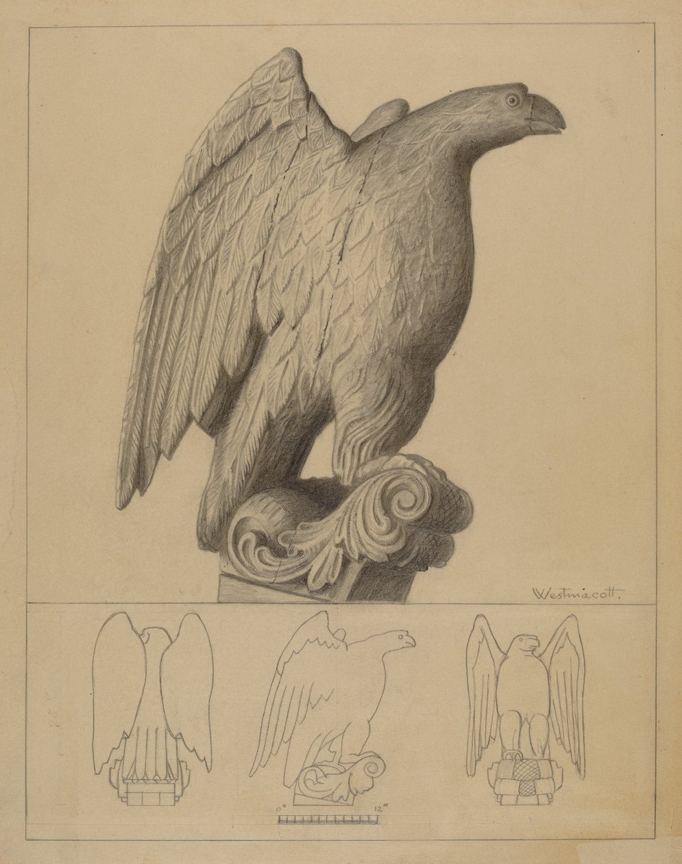Eagle by Bernard Westmacott