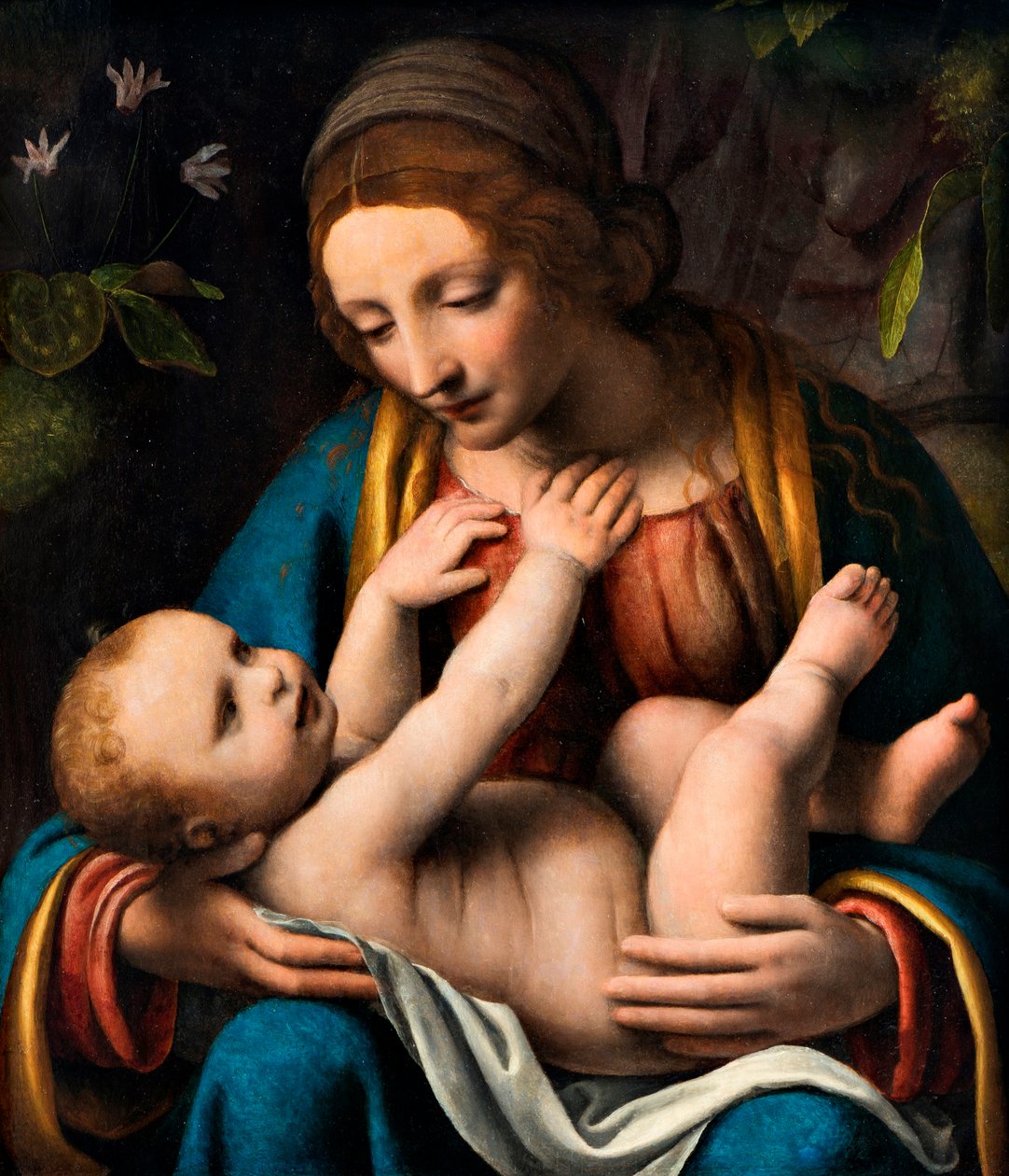 Madonna and Child by Bernardino Luini: Buy fine art print