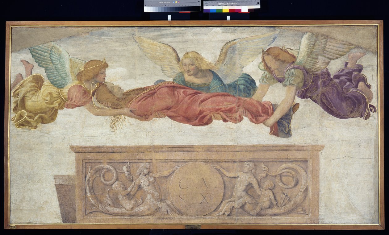 The Body of St. Catherine Carried by Angels by Bernardino Luini