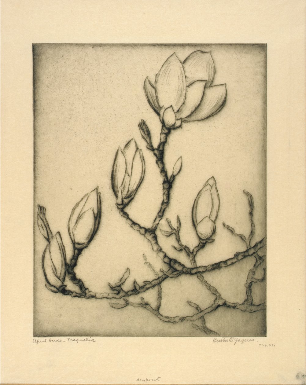 April Buds - Magnolia by Bertha E. Jaques