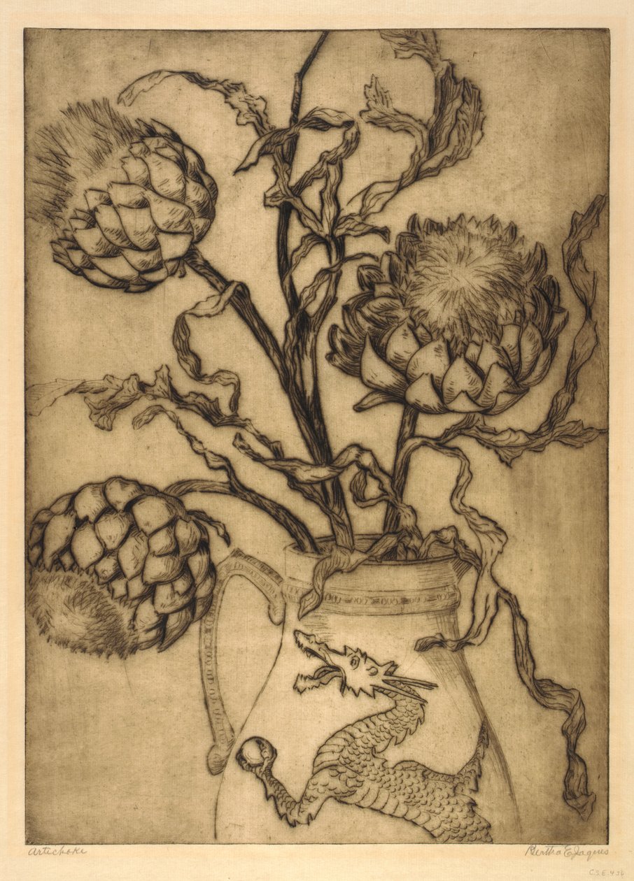 Artichoke by Bertha E. Jaques