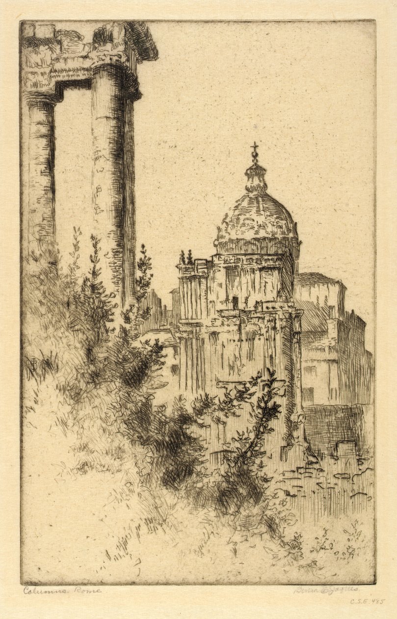 Columns, Roman Forum by Bertha E. Jaques