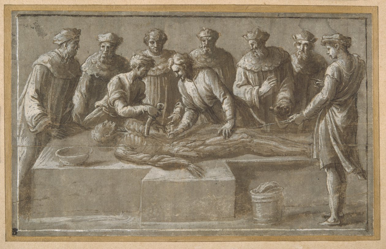 Six professors of anatomy, dissecting a flayed male corpse by Biagio Pupini