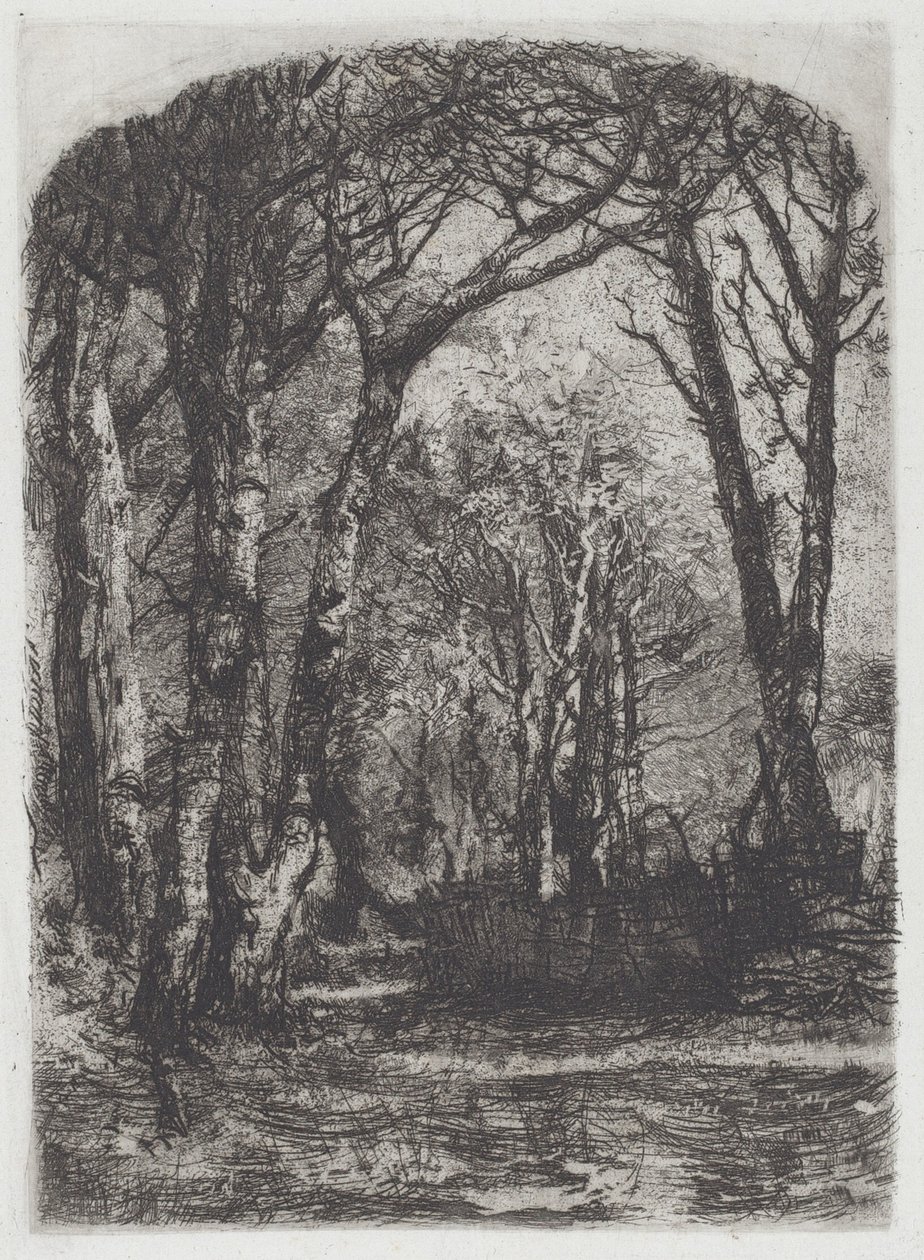 Woods by Bianchi Mose