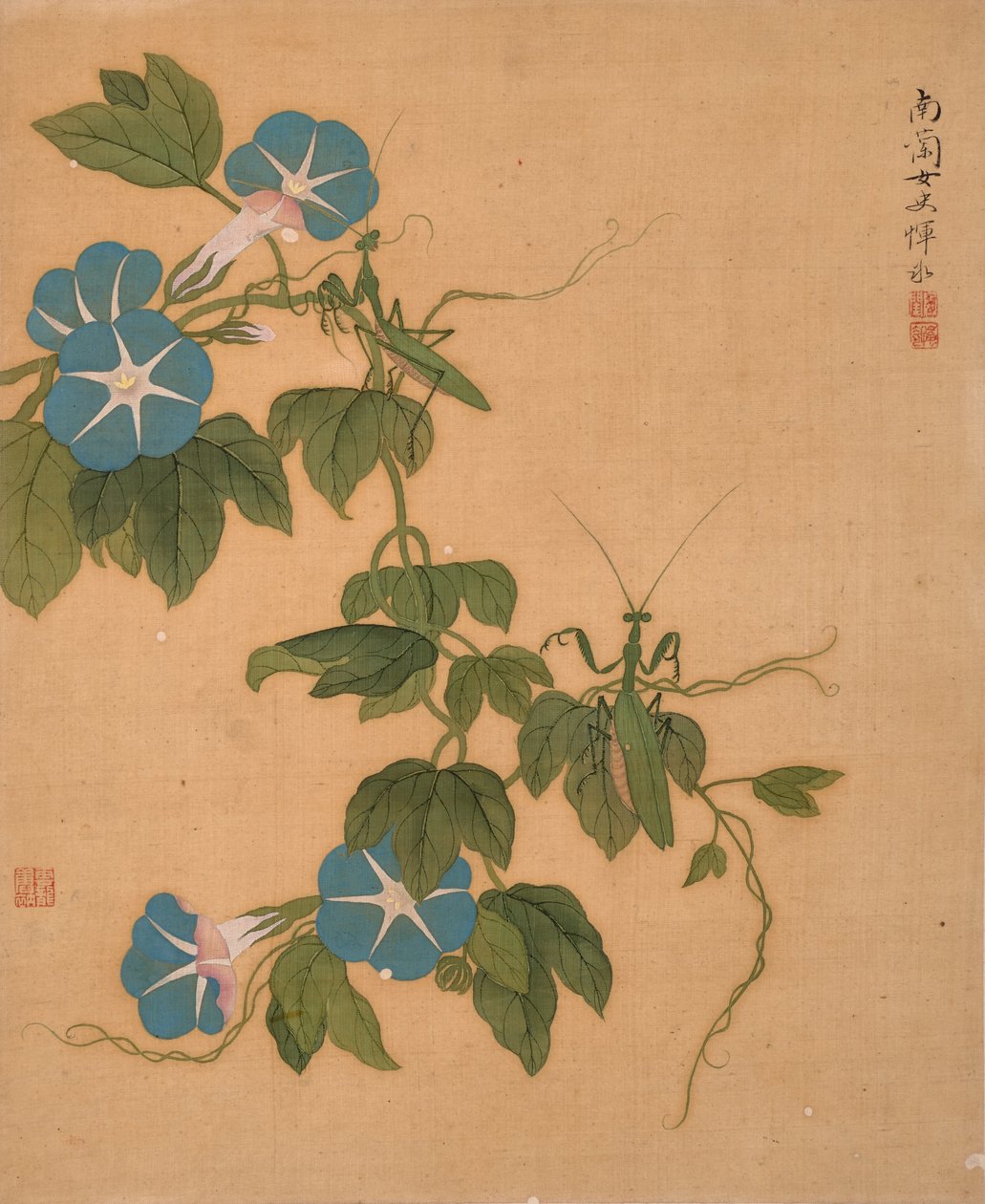 Morning Glory from Album of Flowers by Bing Yun