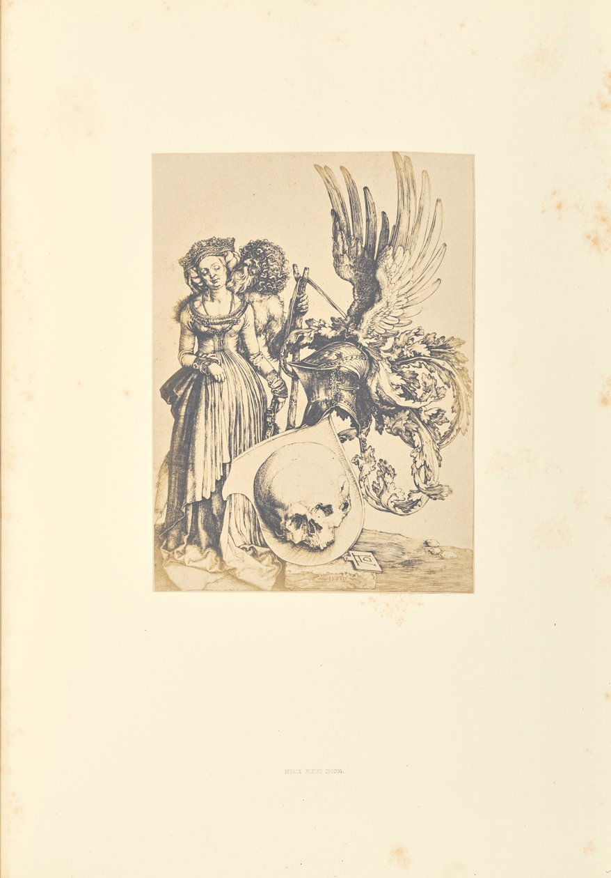 The Coat of Arms with a Skull by Bisson Frères