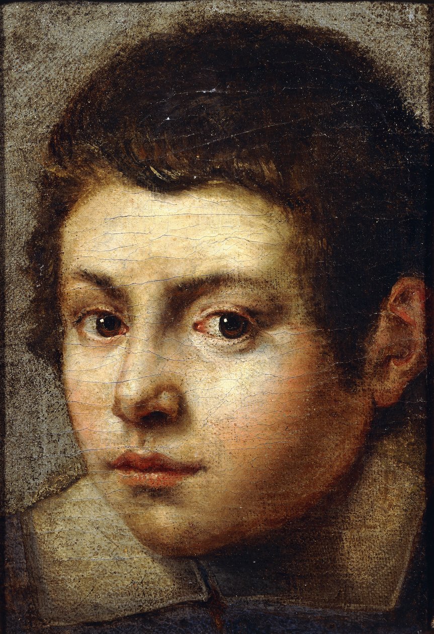 The Head of a Young Boy by Bolognese School
