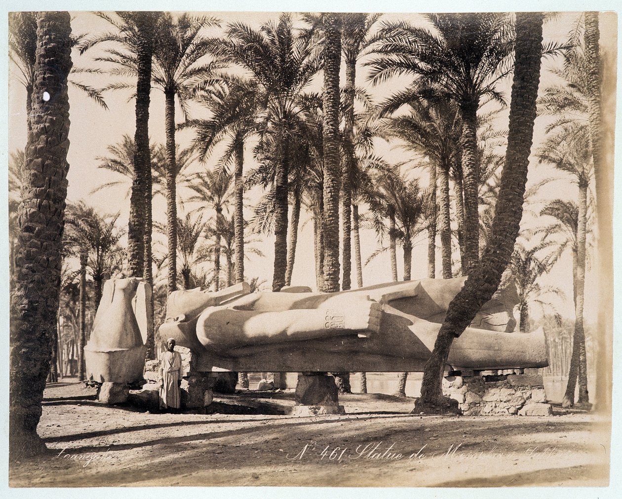 A statue of Memphis lies in a palm grove in Egypt - photograph by the Zangali brothers, late 19th century by Brothers Zangaki
