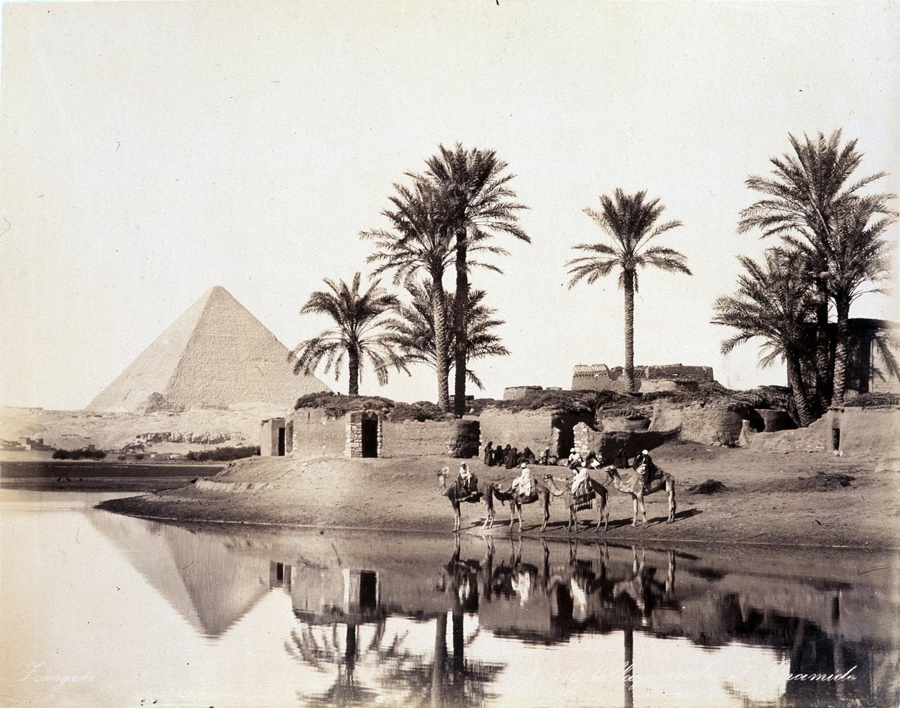 Camels Drinking at the Foot of the Pyramids of Egypt - Photograph by the Zangali Brothers, Late 19th Century by Brothers Zangaki
