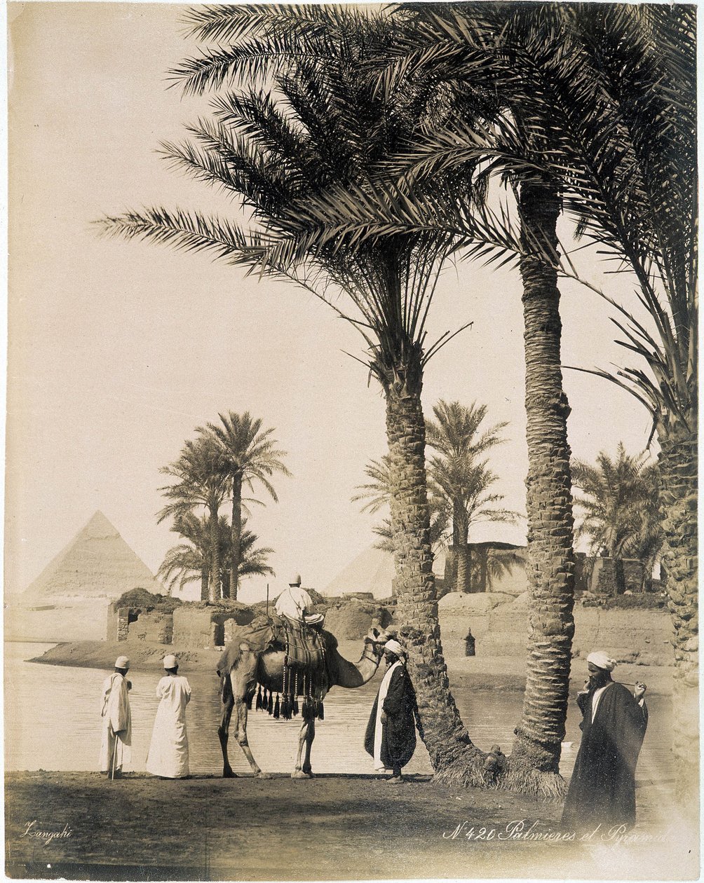 Palm Grove at the Foot of the Pyramids of Egypt - Photograph of the Zangali Brothers, Late 19th Century by Brothers Zangaki